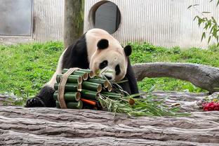 热苏斯全场数据：3次射门1次射正，错失2次良机，4次关键传球